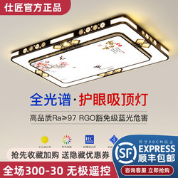 2025 New Led Ceiling Light for Room, Bedroom, Living Room, Hall, Modern Simple and Elegant Zhongshan Lighting Fixtures