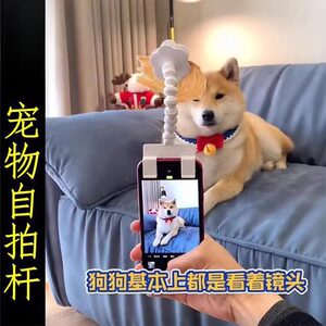 
Cats and dogs selfie sticks pets taking photos toys artifact attraction induction cameras food clip mobile phone holder