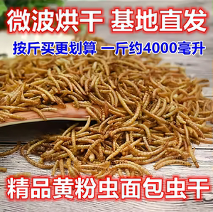 
Dried mealworms, dried mealworms, microwave crafts, pet food snacks, feed protein, hamsters, fish, birds, hedgehogs, parrots