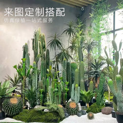 Artificial Cactus Potted Plant Tropical Scene Decoration Bonsai Fake Cactus Column Measuring Ruler Window Display Landscaping