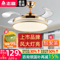 Chigo Smart Invisible Ceiling Fan Light Nordic Light Luxury Dining Room Living Room Bedroom Home Inverter Silent Integrated Fan Light