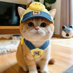 Cat Hat with Exposed Ears, Summer Sun Protection Hat, Golden Gradient Devon Cat and Dog Leash, Pet Clothing