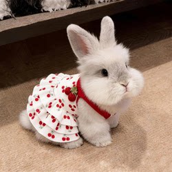 Little Rabbit Clothes, Summer Thin Strap Dress, Breathable and Comfortable, Suitable for Dwarf Rabbits, Angora Rabbits, Cats, and Dogs