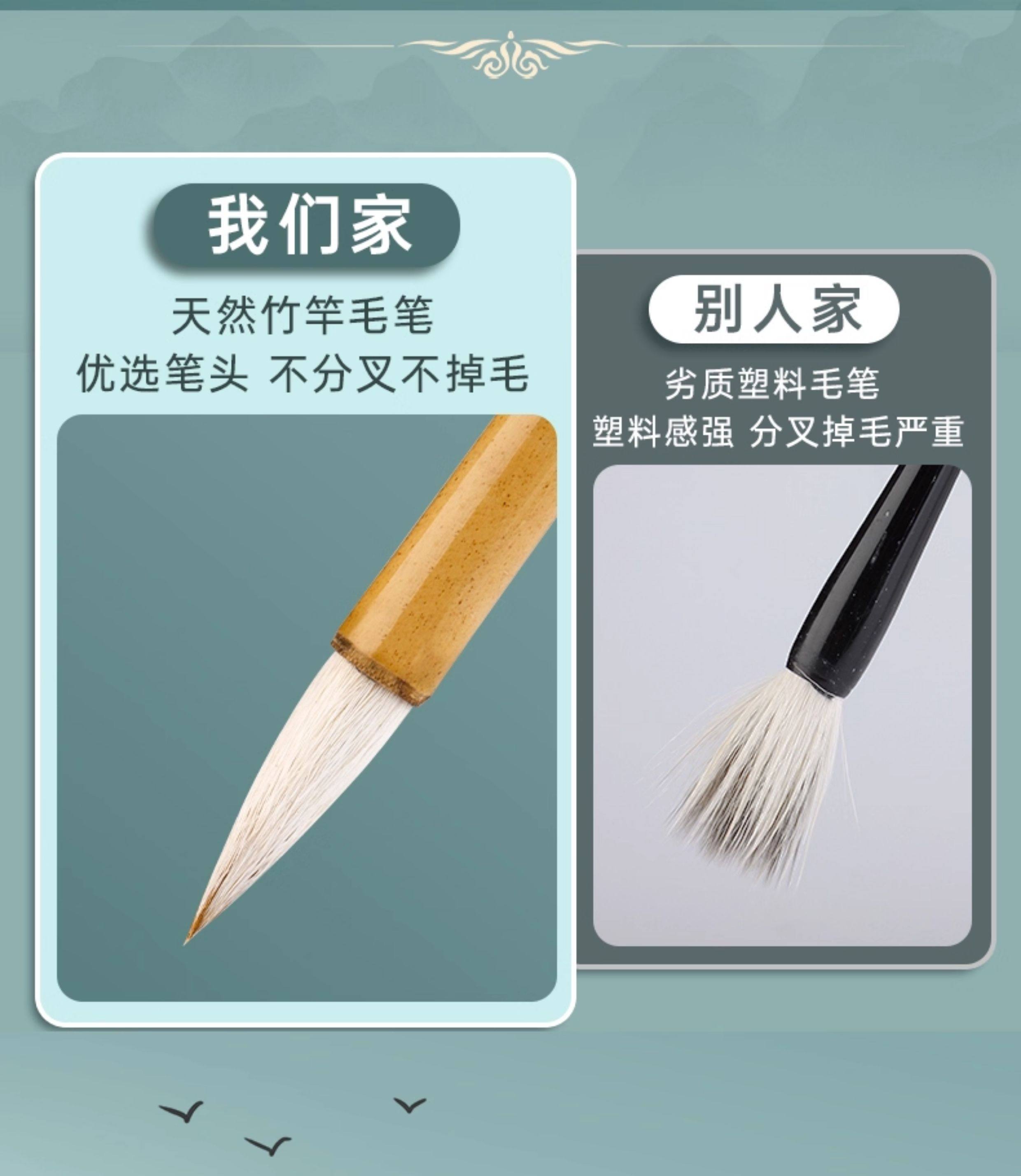 国画套装初学者中国画颜料宣纸水墨画材料工具箱小学生儿童12色玛丽马利