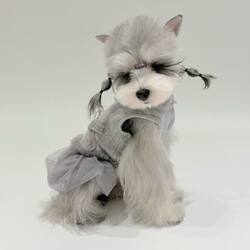 Pet Lightweight Schnauzer Puppy Full-Cover Teddy Summer Harness Dog Clothes Summer Clothing Cat Clothes