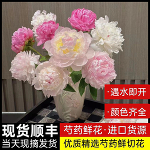 
Shandong peony flowers peony double petal bouquet Yunnan fresh cut flowers living room flower rose base Mother's Day