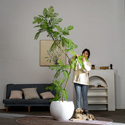 High-End Bionic Green Plant Jacaranda Artificial Flower Tree Fake Tree Indoor Living Room Floor-Standing Landscaping Decoration Ornaments