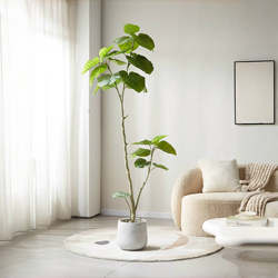 High-End Light Luxury Artificial Green Plant Heart-Shaped Leaf Banyan Indoor Living Room Floor-Standing Fake Plant Heart-Shaped Banyan Wabi-Sabi Style Decoration