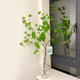 Simulated plant hanging clock Nordic fake green plant horse drunken tree branches living room desktop decoration ornaments home creative vase