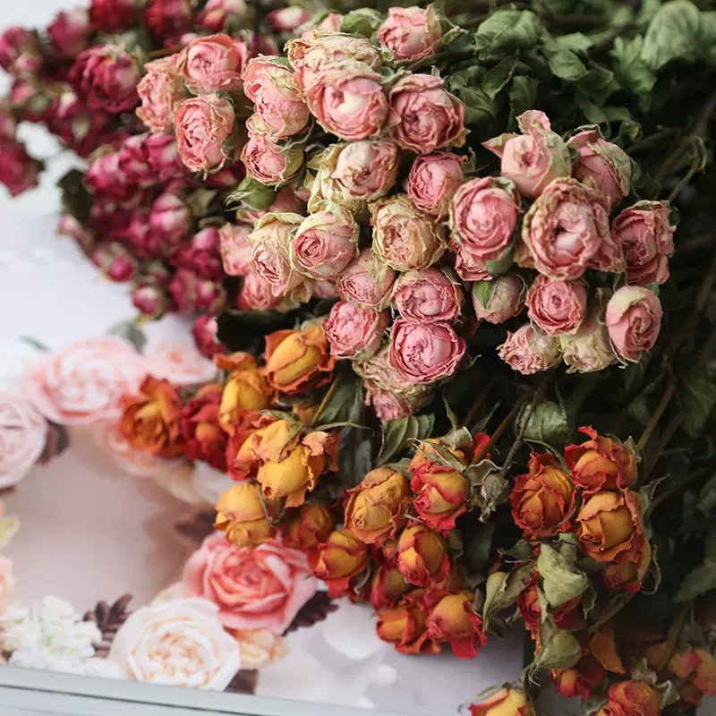 蔓玥diy手工蜡烛装饰花材天然泡泡蔷薇小玫瑰干花家居插花装饰