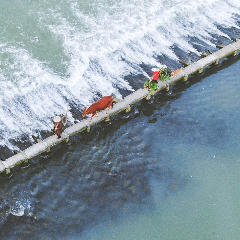 丽水旅游 3天2晚云和梯田古堰画乡仙都松阳 宿民宿 专车接送