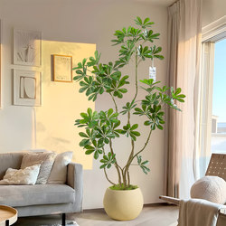 Duck Foot Wood Simulation Classy Green Plant Indoor Accessible Luxury Sofa Side Floor Decoration Ornaments Living Room Green Plant Fake Tree