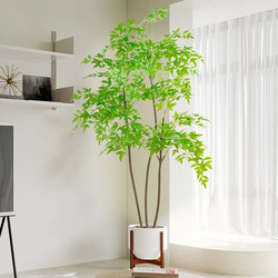 Artificial Green Plant, Special-Shaped Nandina Bamboo, High-End Light Luxury Bionic Plant, Indoor Large Living Room Floor-Standing Ornament, Fake Tree