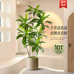 High-End Luxury Artificial Green Plants, Bionic Brazilian Wood, Living Room Floor-Standing Decoration, Floor-Standing Ornaments, Landscaping, Indoor Fake Plants