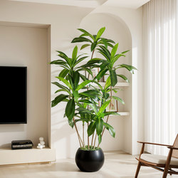 Brazilian Wood Simulated Green Plants Classy Accessible Luxury Indoor Home Corner Decoration Bionic Plants Floor-Standing Ornaments Fake Potted Plants