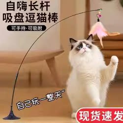 Multi-Stage Self-Entertainment Long Rod Suction Cup Cat Teaser Stick, Can Be Held by Hand or Attached, Indoor Cat Toy, in Stock for Quick Delivery
