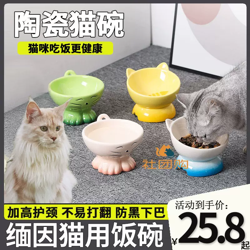 银渐层专用陶瓷猫碗大容量不易打翻猫咪吃饭喝水碗饭盆防外溅粮碗