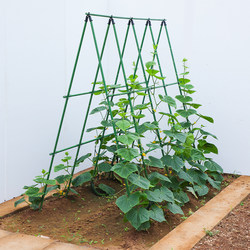 Cucumber Trellis, Bean Trellis, Tomato Support Rod, Fruit and Vegetable Greenhouse Frame, Plant-Specific Plastic-Coated Steel Pipe
