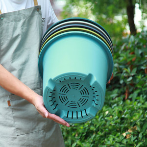 Baileh Huan Deepot Thick Four Seasons Gallon Pot Root Blim Rose Green Hydma Resin Plastic Basin
