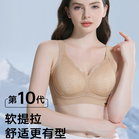 
Seamless underwear for women with small breasts, push-up and auxiliary breasts 2025 lift-up anti-sagging adjustable top-up bra without rims