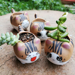 Jingdezhen Ceramic Cartoon Thumb-Sized Succulent Pot with Cute Cat Expressions, Small Plant Landscape Pot, Small Decorative Item