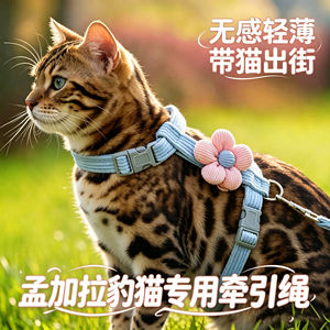 
Special kitten traction rope for Bengal leopard cat, cat pet and kitten anti-breakaway harness, rope for holding the cat
