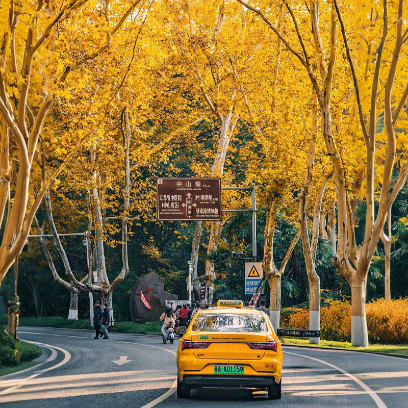 上海迪士尼旅游7天6晚无锡灵山大佛苏州狮子林南京杭州西湖跟团游