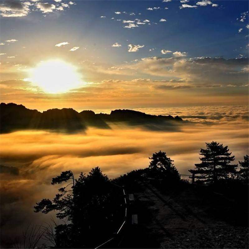 飞猪旅行湖南长沙张家界4天3晚旅行团玻璃桥天门山跟团旅游四日游