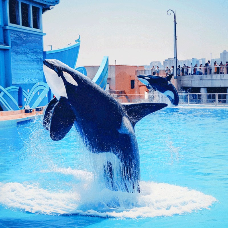 高铁上海迪士尼旅游3天2晚上海海昌海洋馆跟团游双园乐享/5钻酒店