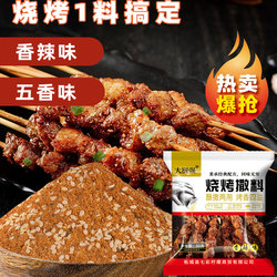 Cumin powder barbecue seasoning sprinkling Zibo barbecue dipping starch sausage seasoning air fryer crispy sausage commercial