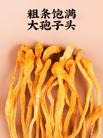 冬虫夏草の花の乾燥品 - 公式旗艦店 - 業務用本物の新鮮な乾燥冬虫夏草 