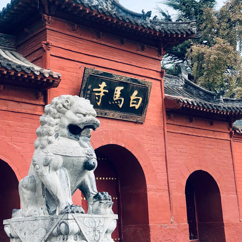 猩咖说河南洛阳白马寺不含门票大咖2H小包团人工讲解洛阳一日游