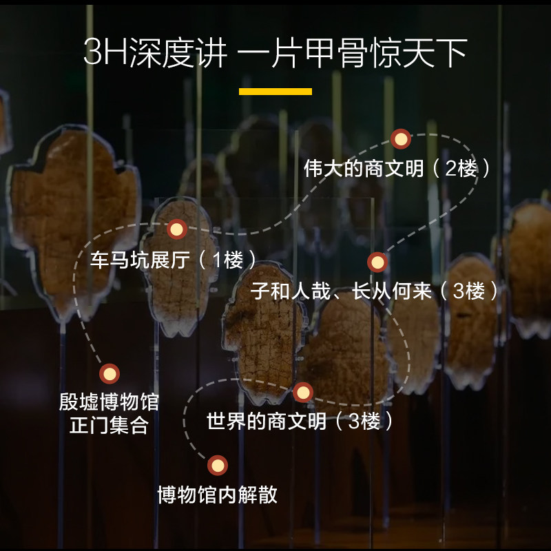 猩咖说河南殷墟博物馆不含票大咖3H小包团讲解甲骨文安阳旅游