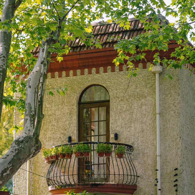 猩咖说上海武康路半日游2.5H大咖小包团VIP人工讲解上海旅行