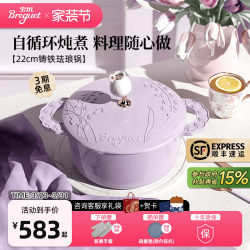 Breguet Enamel Pot Cast Iron Pot Wedding Housewarming Gift Flat Bottom Uncoated Stew Pot Soup Pot 22cm