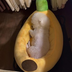 Banana Dog Bed, Thickened and Warm for Winter, Pet Sofa, Dog Bed for Small Dogs, Removable and Washable, Safe Sleeping Nest, Suitable for All Seasons