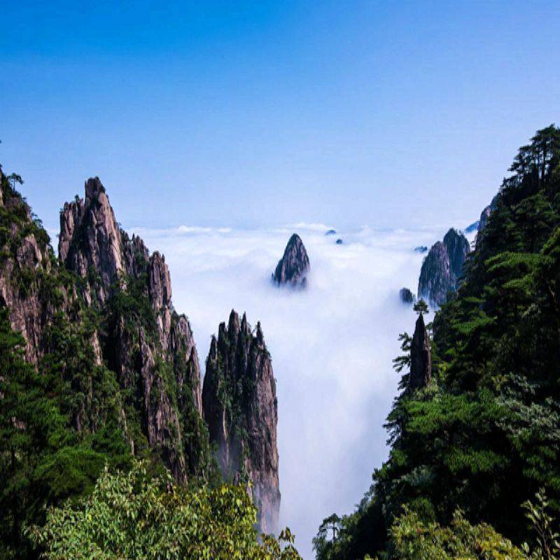 【杜马优选】黄山+九华山5天4晚自由行