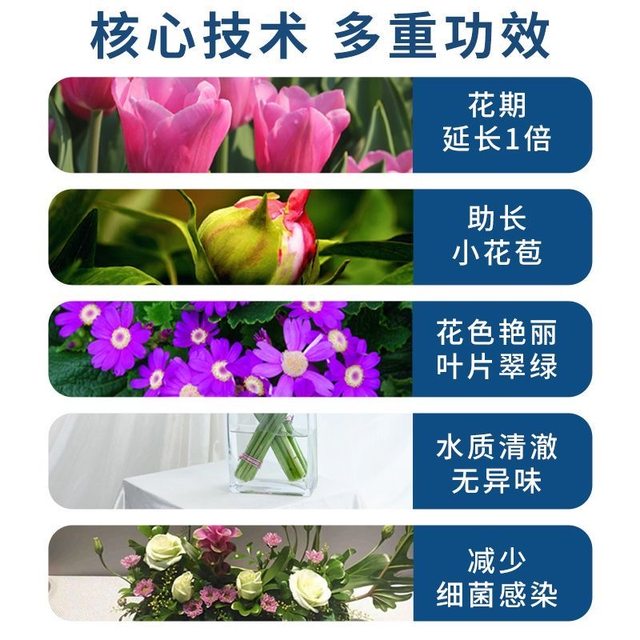 Universal plant flower preservative for flowers, clear and enhanced