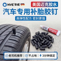 Special Rubber Nails for Car Tire Repair, Quick Tire Repair Nails for Electric Vehicle Tires Without Disassembly, Rubber Nails for Motorcycle Tire Repair