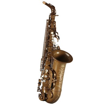 
Carolan Bare Brass Alto Saxophone