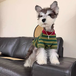 Dog Clothes Spring Style Schnauzer Pet Clothes New Small Dog Striped Bichon Teddy Puppy Clothes Cotton