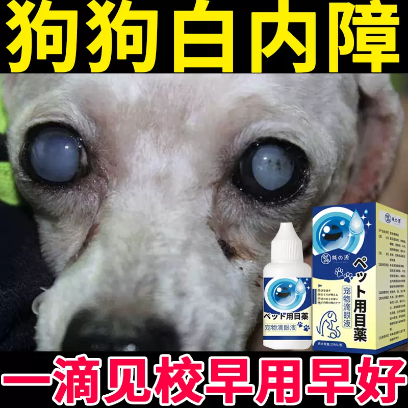 狗狗白内障滴眼液宠物猫咪眼部清理抑制初期角膜炎青光眼视力退化 Taobao