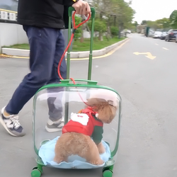 Pet Trolley Box, Portable Dog and Cat Outing Bag, Transparent Pet Space Bag, Checked Airline Box, Cat Bag
