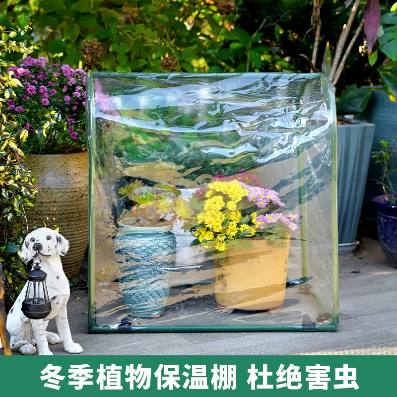 保温棚家用小型温棚植物多肉温室暖棚防雨防虫花园花