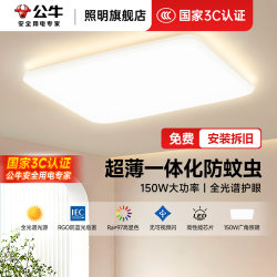 Bull Living Room Ceiling Light Living Room Main Light 2025 New Model Lighting Led Living Room Light Super Bright Living Room Large Light Whole House