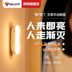 Bull Intelligent Motion Sensor Light Night Light for Home Bedside Rechargeable for Night Use, Hallway, Bathroom, Lights up When People Approach