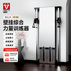 Crazy Latte Home Wall-Mounted Small Bird-Shaped Comprehensive Training Device High Pull-Down Fitness Equipment Multi-Functional All-In-One Machine