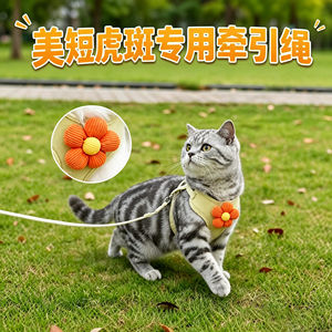 
American short tabby special kitten traction rope cat pet kitten anti-break-away outdoor harness adjustable chest harness