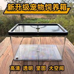 Pet Breeding Box Beetle Hamster Turtle Crab Breeding Box Pet Room Breathable High-Definition Integrated Breeding Tank
