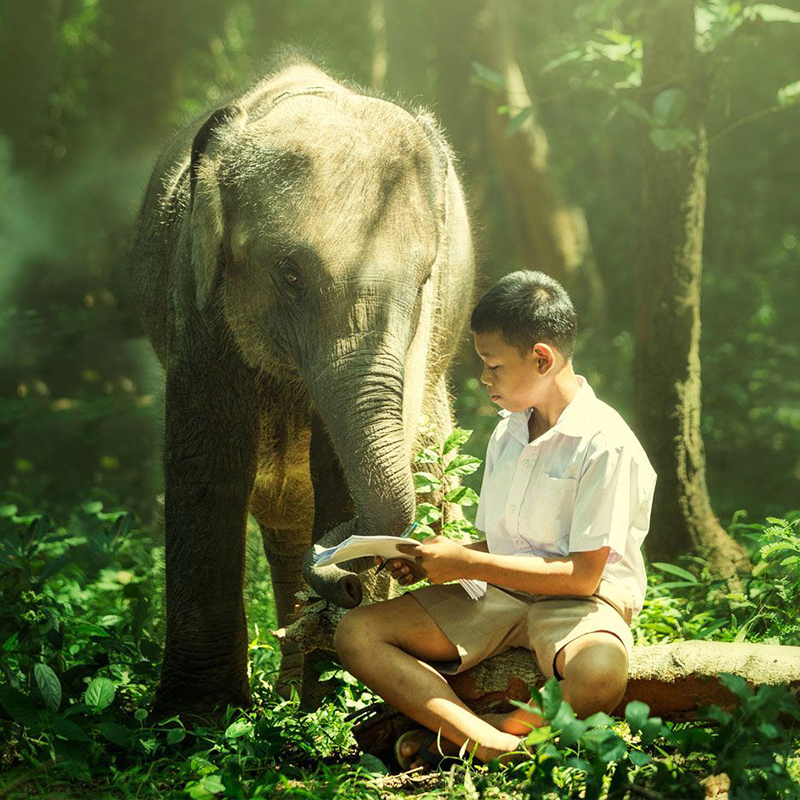 畅享版纳 云南旅游4天3晚跟团游昆明西双版纳旅游跟团游